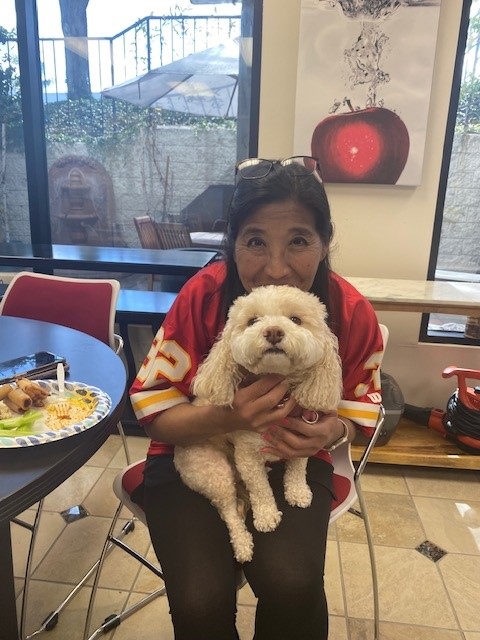 Photo of Dog and Jersey Day